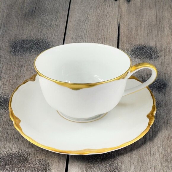 Hutschenreuther Selb Porcelain Blenheim Cup Saucer Pasco Bavaria Germany Set - Picture 1 of 14